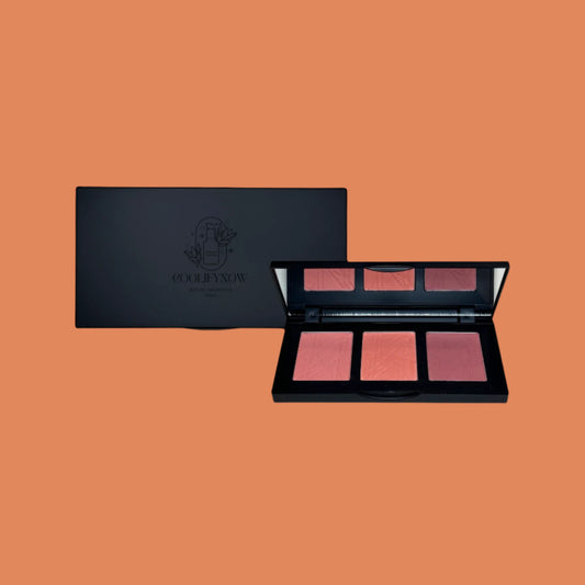 Blush Palette.png
